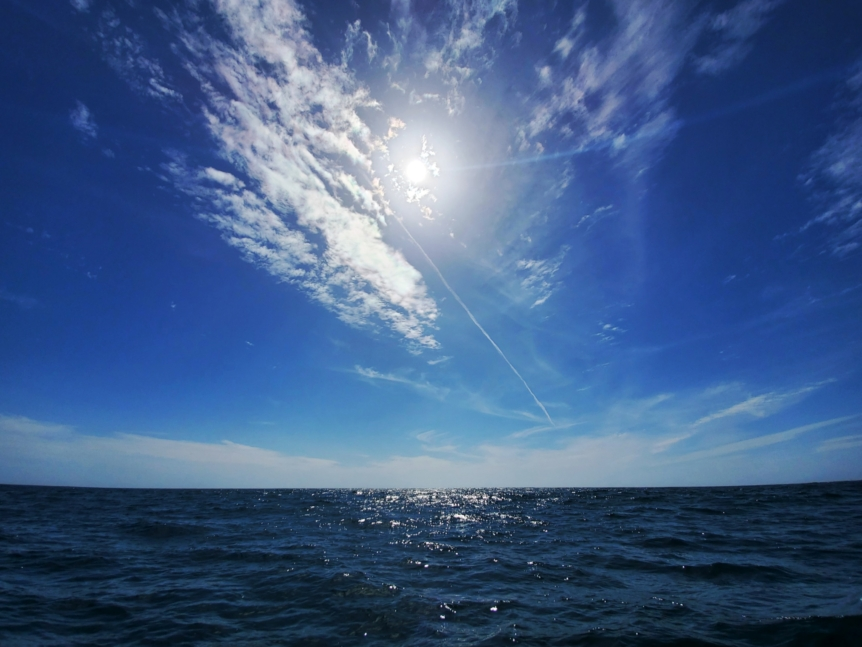 图片1 (3).png 图片1 (3).png