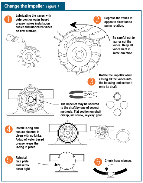 imagesChanging-impeller-technique-sailing-mag.3519.png